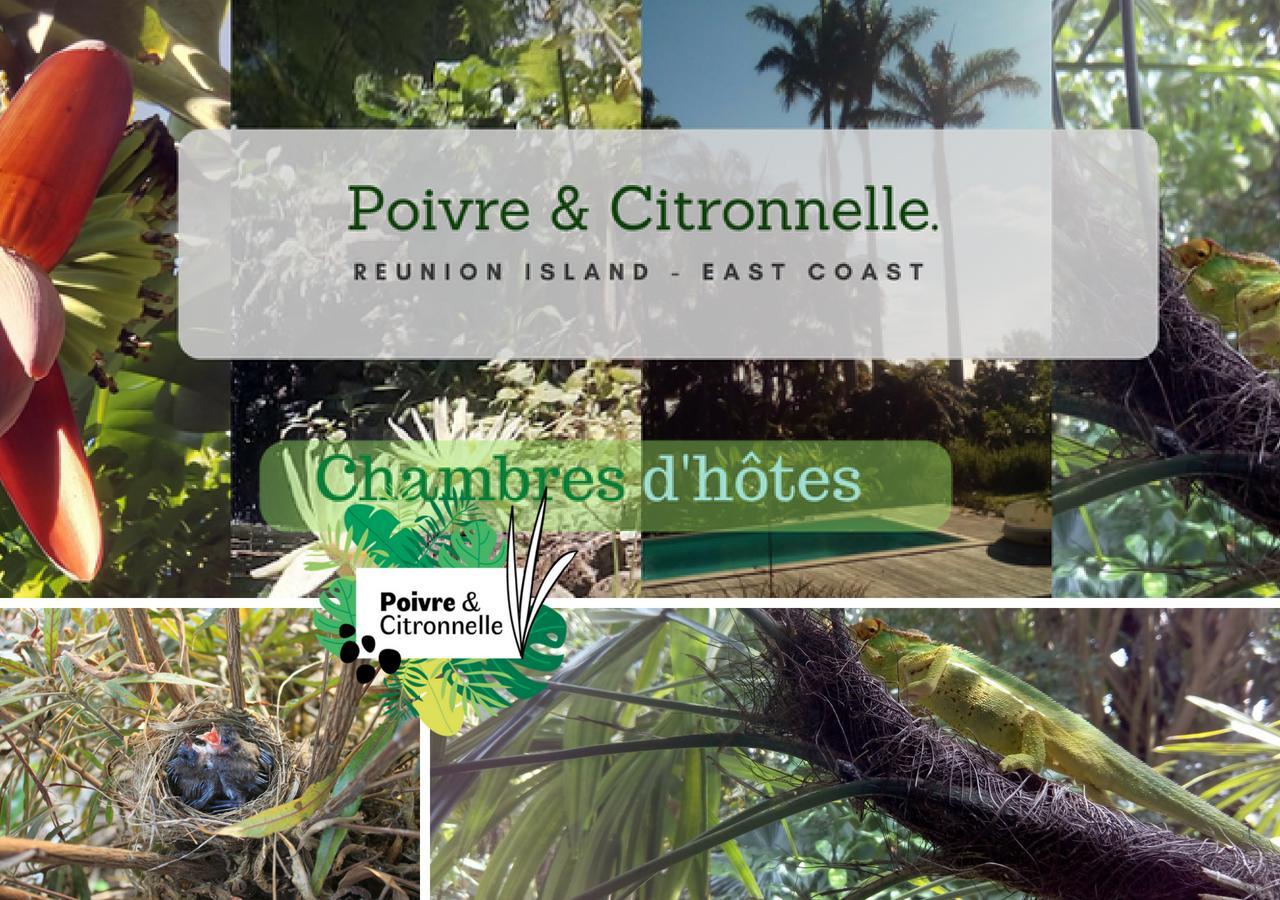 Poivre Et Citronnelle Panzió Saint-André Kültér fotó